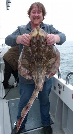 15 lb 12 oz Undulate Ray by Ant