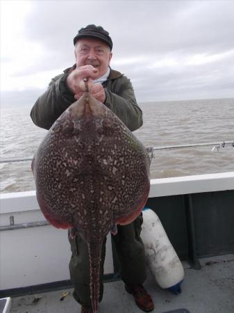 17 lb 5 oz Thornback Ray by Fosters ray