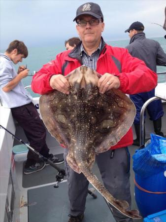 16 lb Undulate Ray by Steve