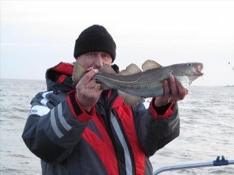 3 lb 5 oz Cod by Chris Merrison