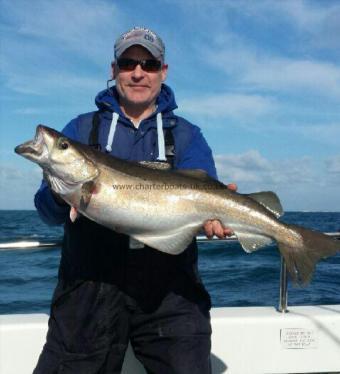 16 lb 7 oz Pollock by phil browning