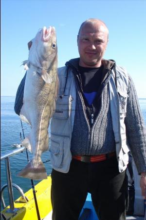 10 lb Cod by Maris ozols