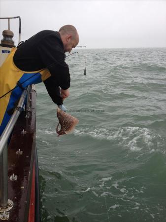 5 lb Thornback Ray by John `Put `em back`