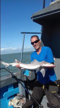7 lb Smooth-hound by SHANE PARTY