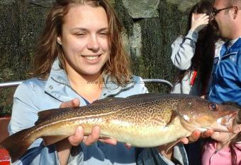 4 lb Cod by Unknown