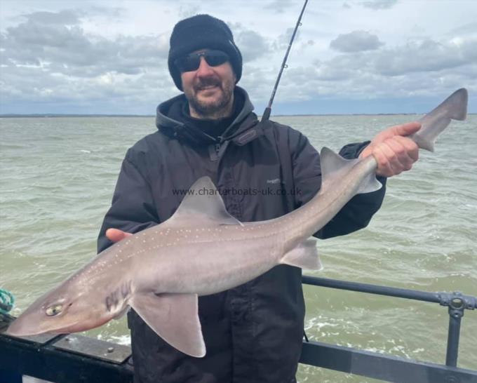 10 lb Smooth-hound (Common) by Unknown