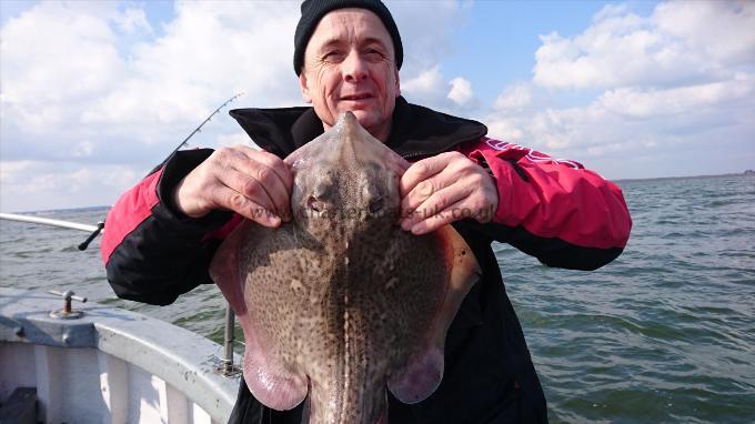 6 lb 4 oz Thornback Ray by Unknown