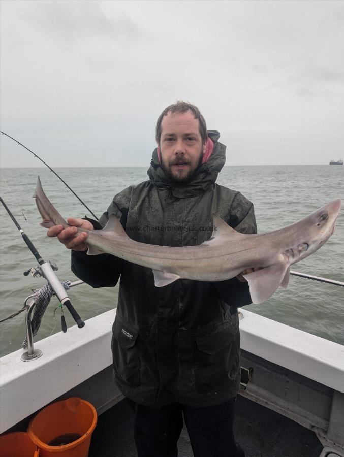 6 lb Smooth-hound by Andrew