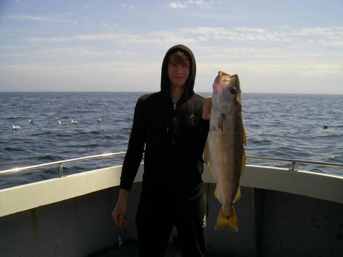 9 lb 9 oz Pollock by Unknown