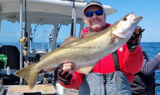 8 lb 11 oz Pollock by Dave