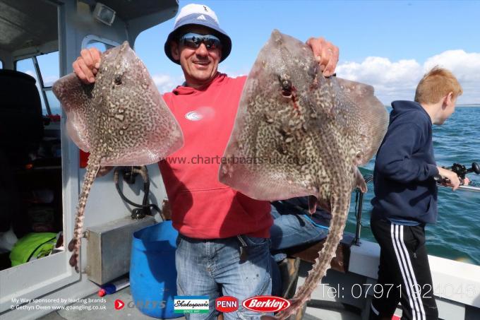 7 lb Thornback Ray by Ceirion