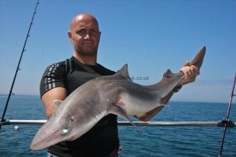 15 lb Spurdog by Richard