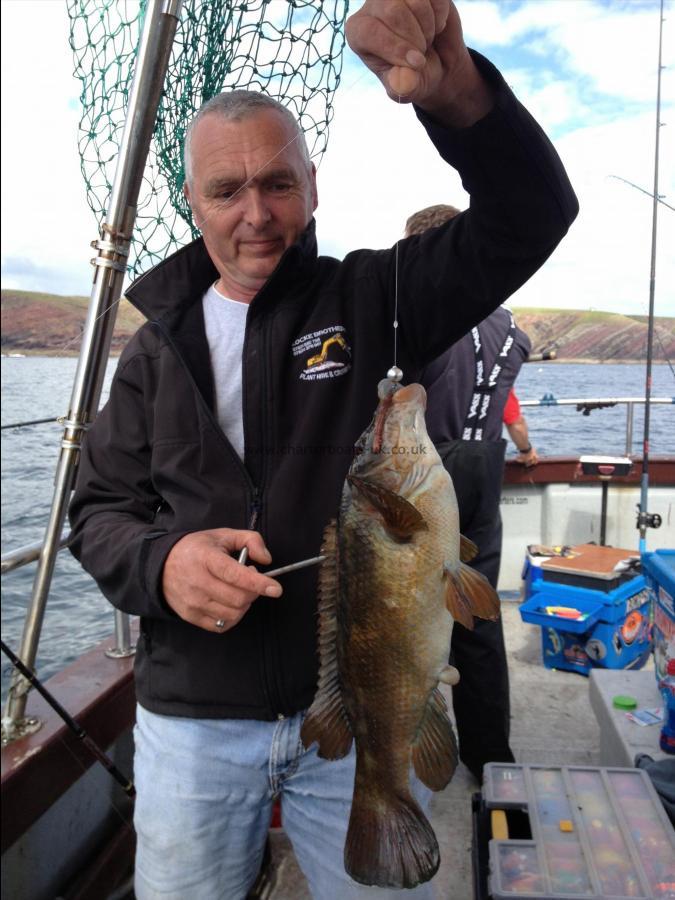 5 lb Ballan Wrasse by Tony WFSA