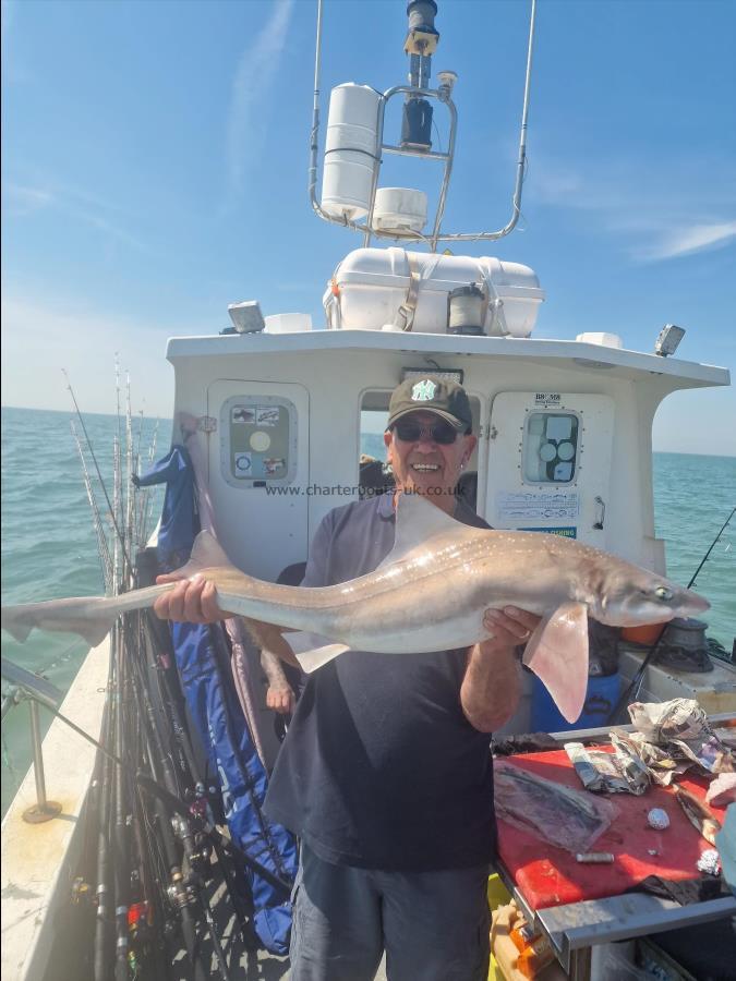 16 lb 5 oz Starry Smooth-hound by Rob