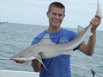 13 lb 11 oz Smooth-hound (Common) by scott belbin