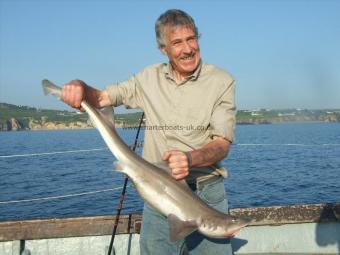 15 lb Starry Smooth-hound by Unknown