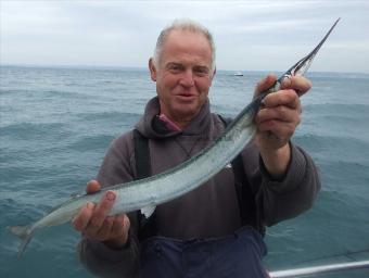 2 lb 3 oz Garfish by Robin Amor