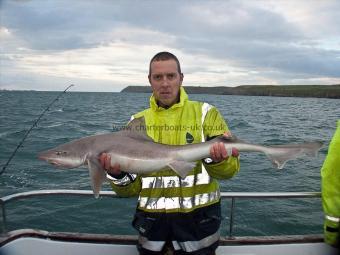 17 lb Smooth-hound (Common) by Mark