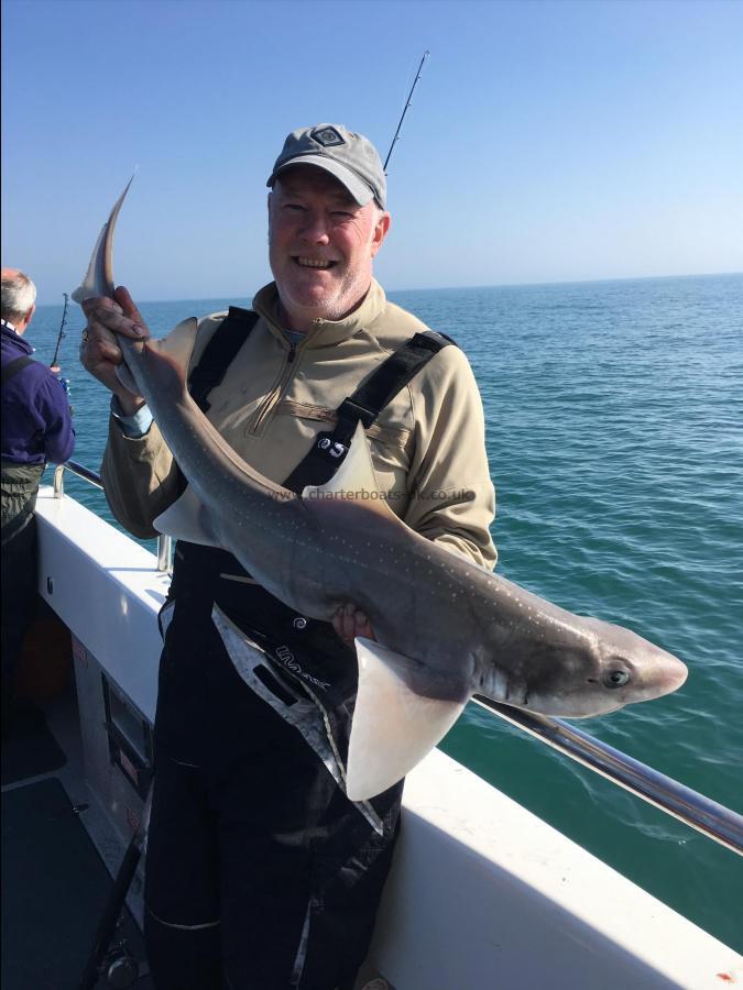 13 lb Smooth-hound by Kev Lee
