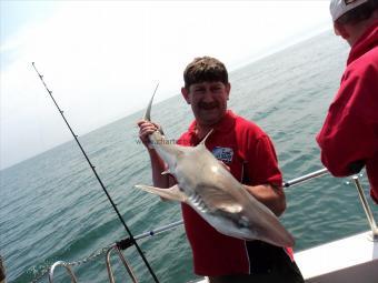 21 lb Tope by Andy Truelove