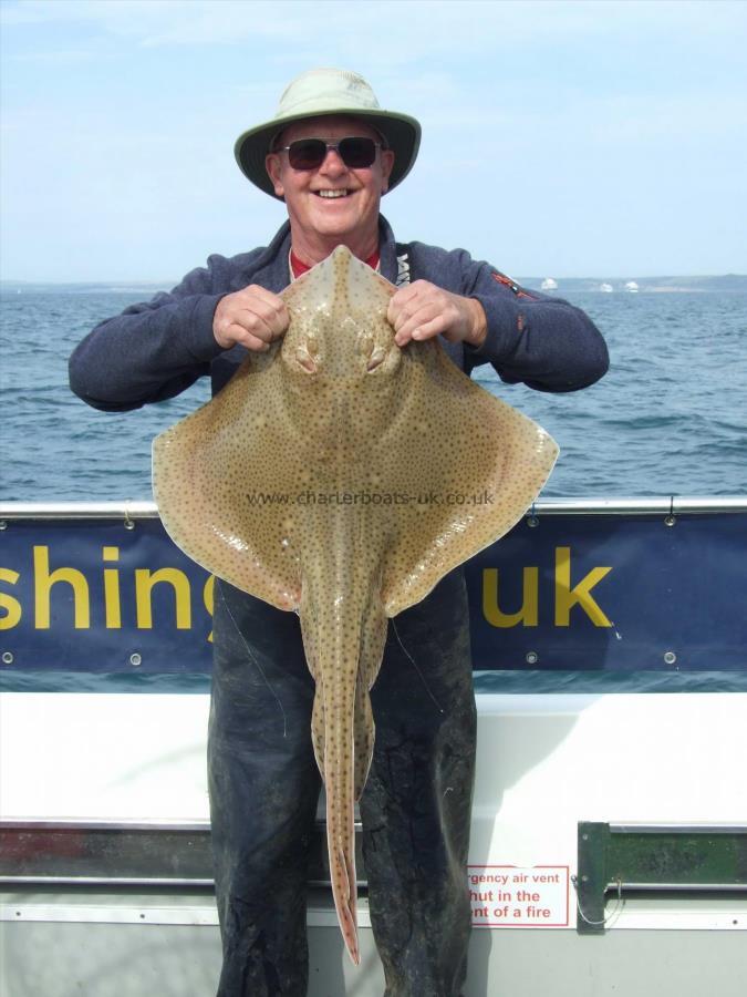 14 lb Blonde Ray by Martin Lewis