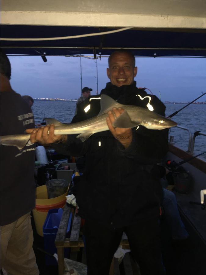 6 lb Smooth-hound by Unknown