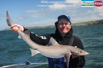 11 lb Starry Smooth-hound by Billy
