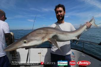 25 lb Tope by Juan