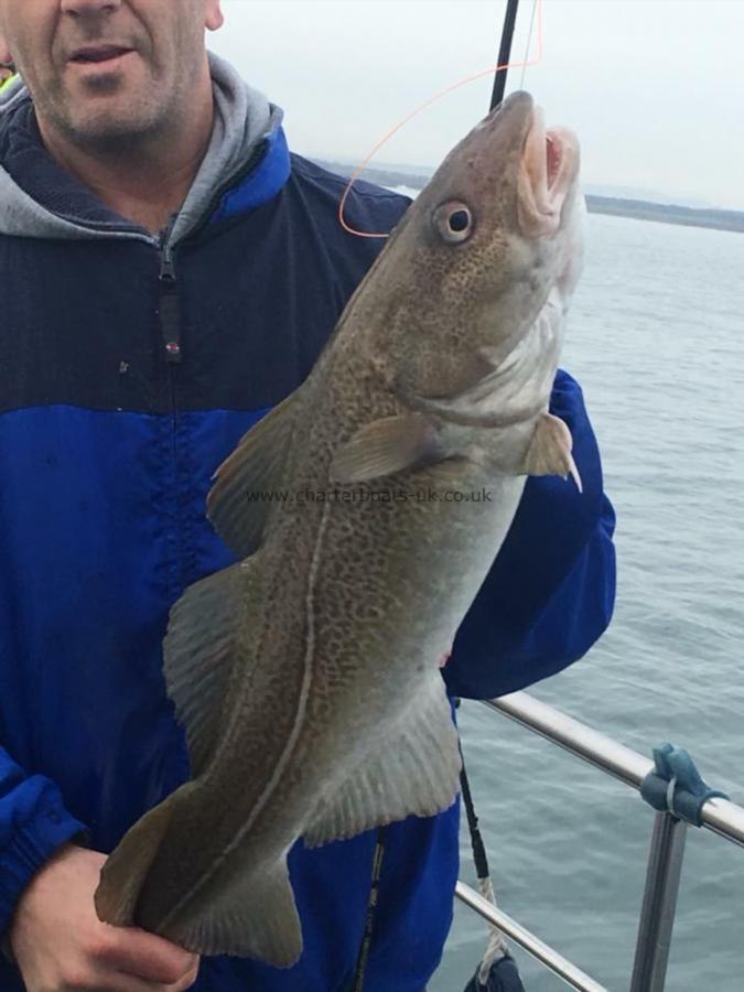5 lb Cod by Mick smith