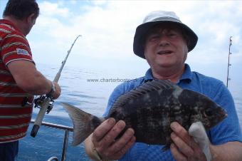 2 lb 4 oz Black Sea Bream by Alan