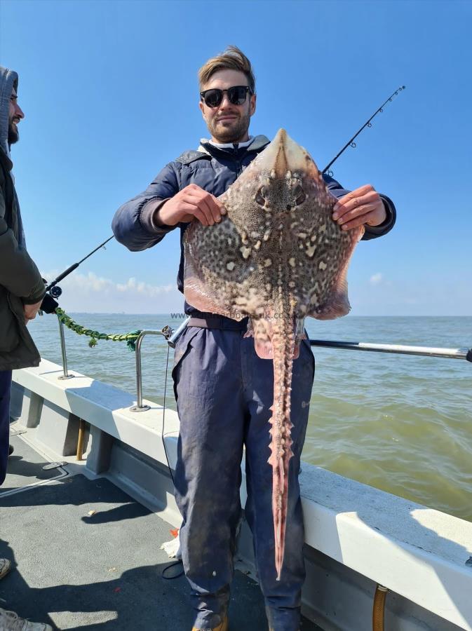 9 lb Thornback Ray by Matt