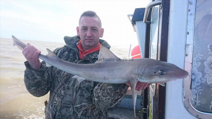 6 lb 2 oz Smooth-hound by Adam from herne bay
