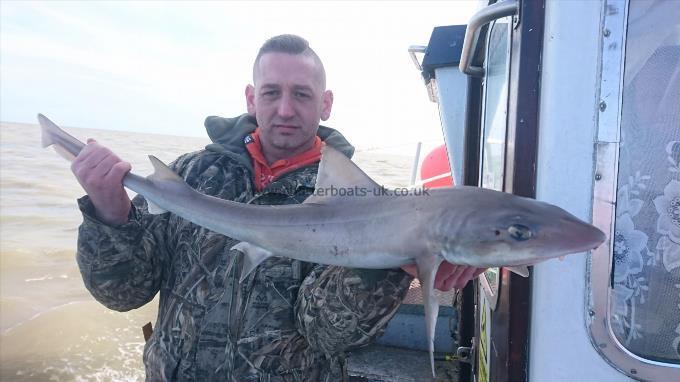 6 lb 2 oz Smooth-hound (Common) by Adam from herne bay