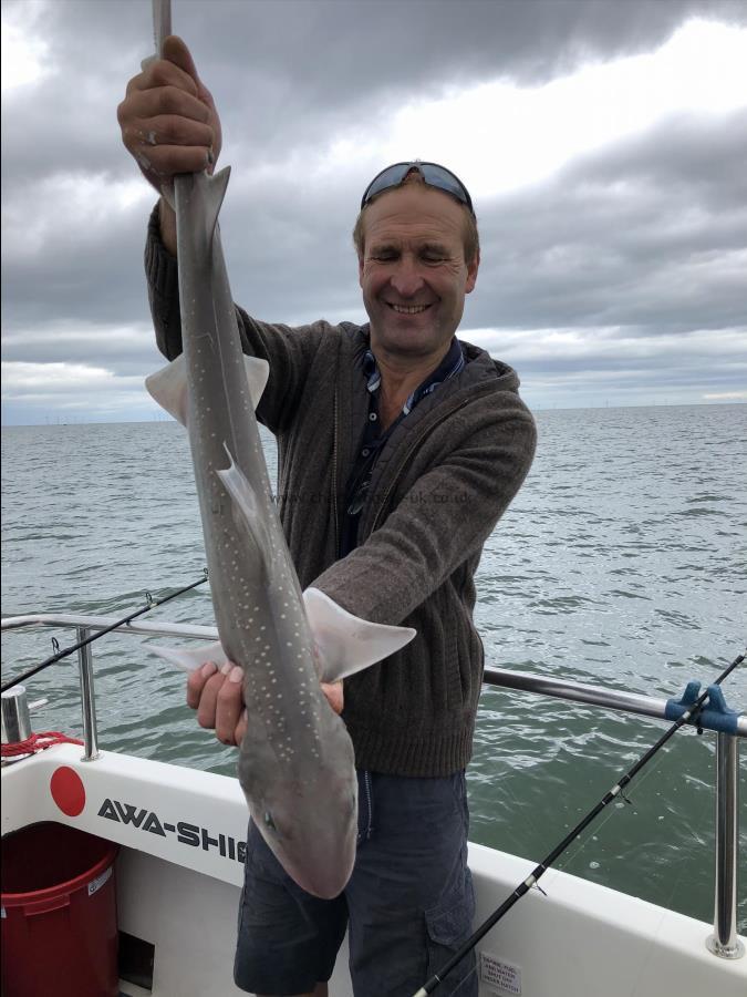 4 Kg Starry Smooth-hound by Ray Crowe