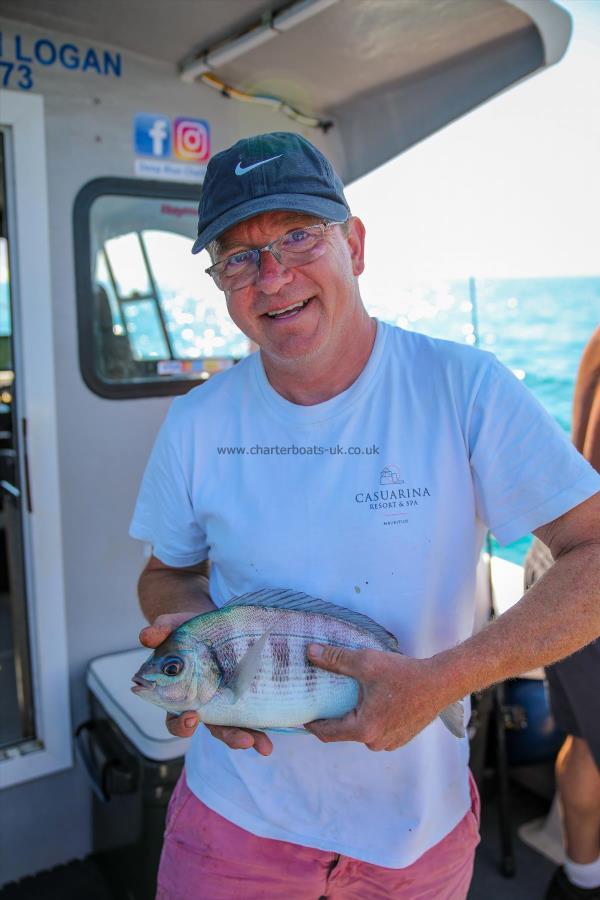 2 lb Black Sea Bream by Unknown