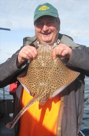 3 lb Spotted Ray by Malcolm