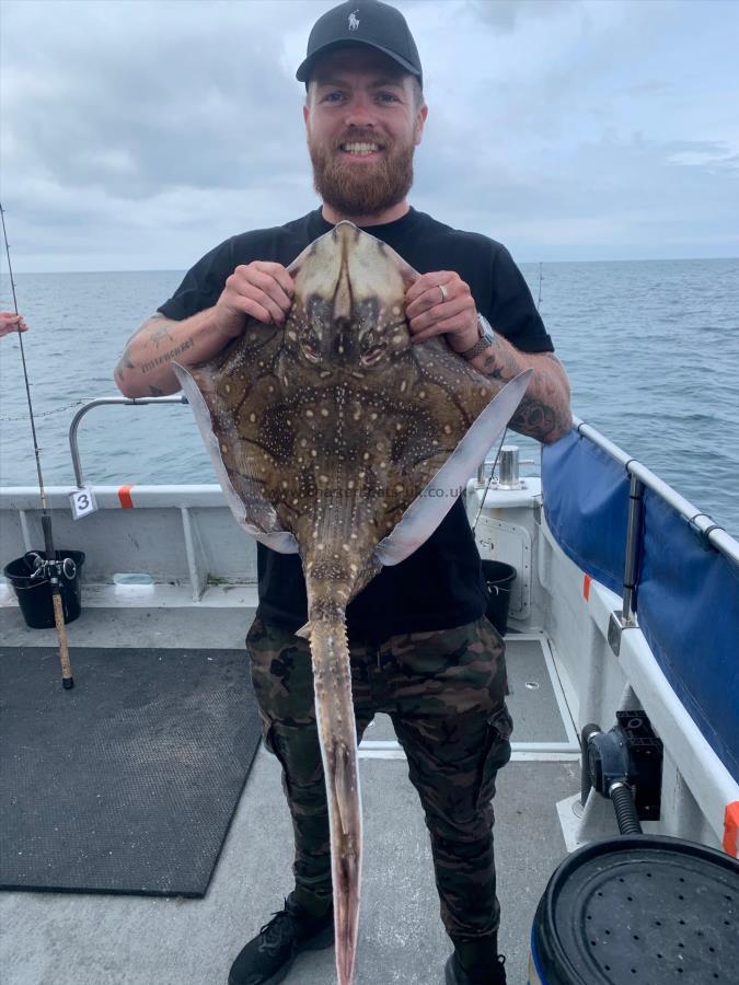 12 lb Undulate Ray by Scott