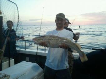 13 lb 9 oz Cod by Unknown