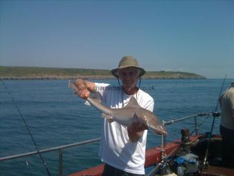 12 lb 4 oz Smooth-hound (Common) by Kevin Gardner from Poole.....