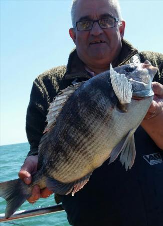 4 lb 8 oz Black Sea Bream by Ali Munn