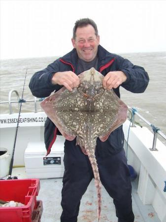 11 lb 1 oz Thornback Ray by steve bateman