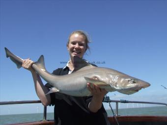 17 lb 8 oz Smooth-hound by Unknown