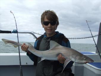 8 lb 7 oz Starry Smooth-hound by micheal