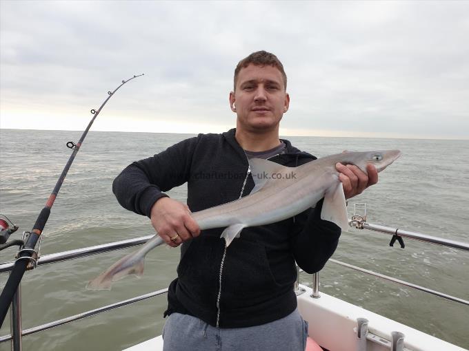 6 lb 8 oz Smooth-hound (Common) by Bob Marshall