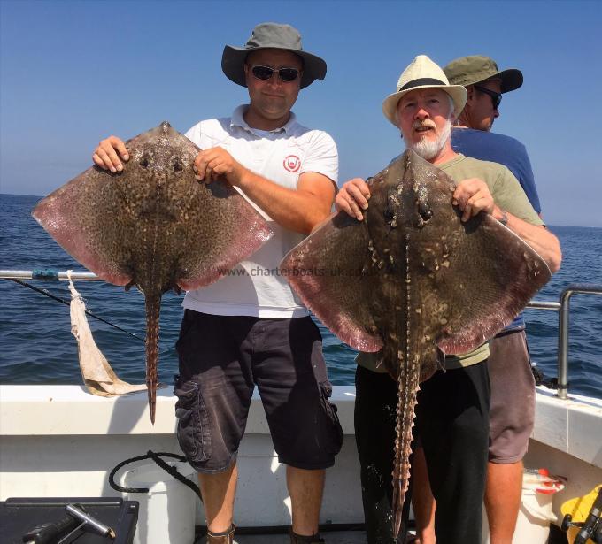 1 lb Thornback Ray by Unknown