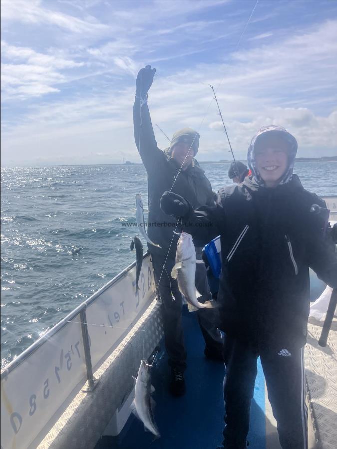 2 lb Cod by Unknown