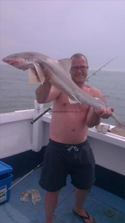 9 lb 4 oz Smooth-hound (Common) by scott again