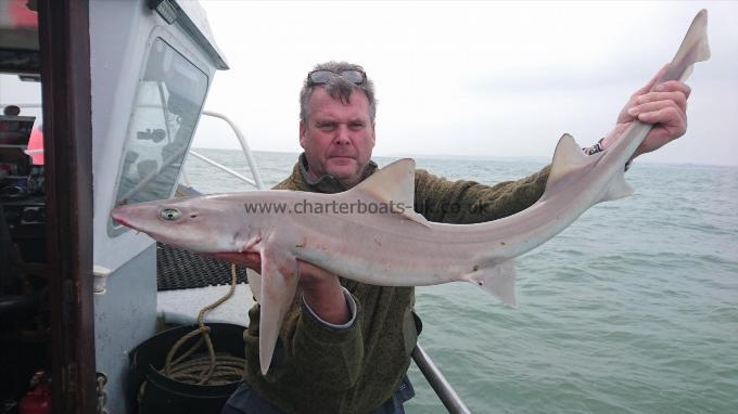 8 lb 4 oz Smooth-hound (Common) by John from Broadstairs