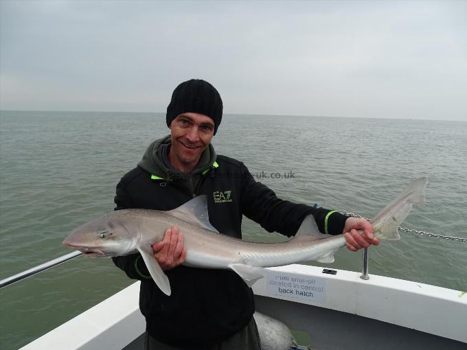 2 oz Smooth-hound by Unknown