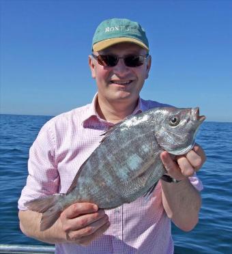 4 lb 4 oz Black Sea Bream by Simon Jeffs